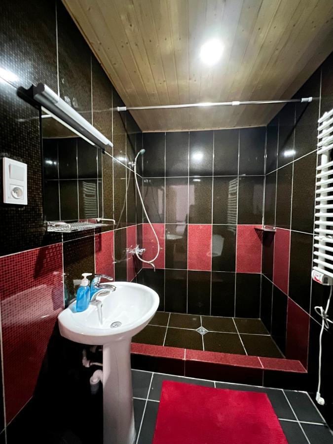 Guest House Svan-Ski メスティア エクステリア 写真