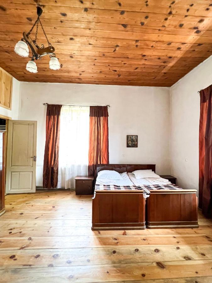 Guest House Svan-Ski メスティア エクステリア 写真