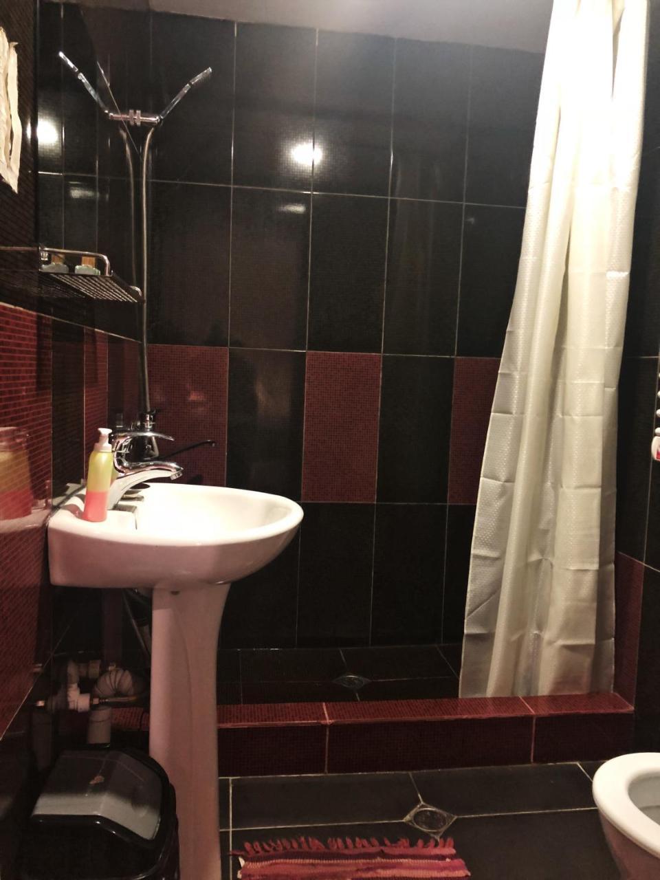 Guest House Svan-Ski メスティア エクステリア 写真